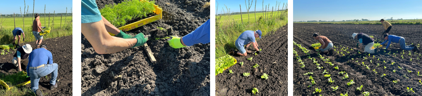 14 mei eerste plantdag